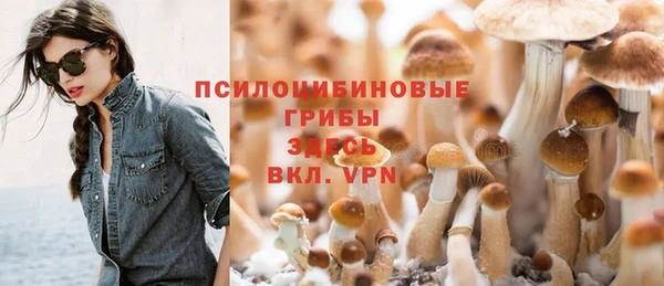прущие крисы Арсеньев