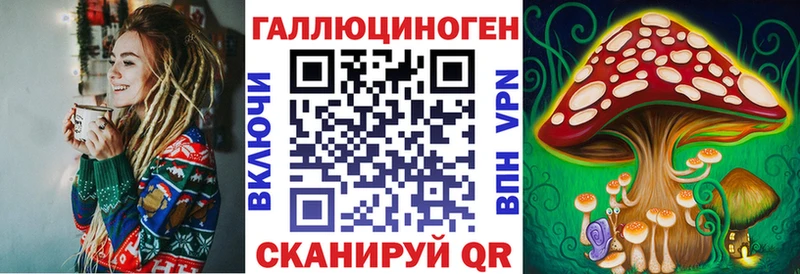 даркнет сайт  Новороссийск  kraken сайт  Галлюциногенные грибы Psilocybe 
